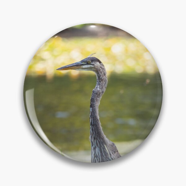 Item preview, Great Blue Heron in a pond designed and sold by jessicagoodsell.