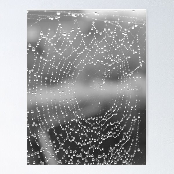 Item preview, Wet Web designed and sold by carrizizi.
