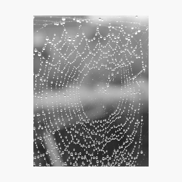 Item preview, Wet Web designed and sold by carrizizi.