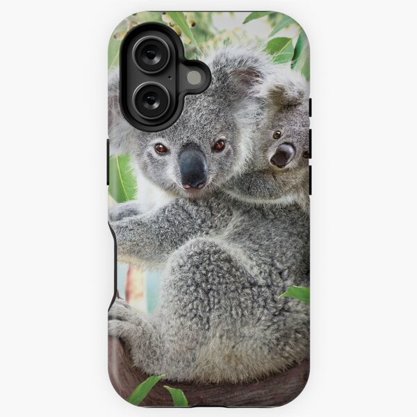 Koala Cuddles iPhone Tough Case