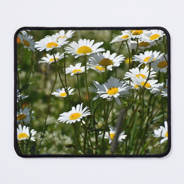 Item preview, A field of daisies designed and sold by Claude Laprise.