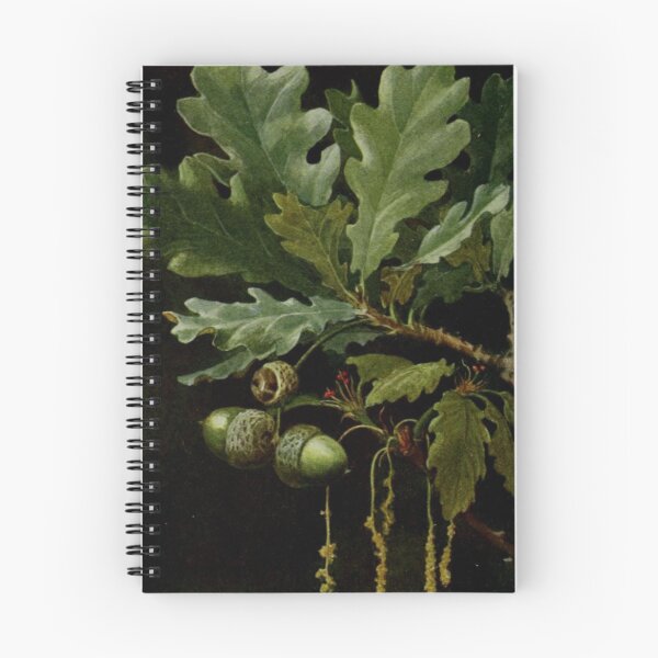 Item preview, Acorn and Oak designed and sold by BlueSpecsStudio.