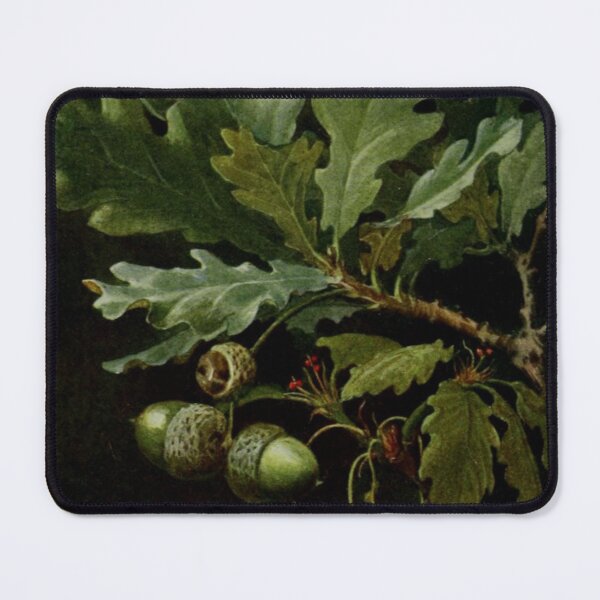 Item preview, Acorn and Oak designed and sold by BlueSpecsStudio.