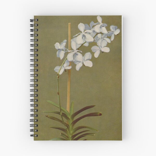 Item preview, White Orchids designed and sold by BlueSpecsStudio.