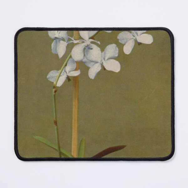 Item preview, White Orchids designed and sold by BlueSpecsStudio.