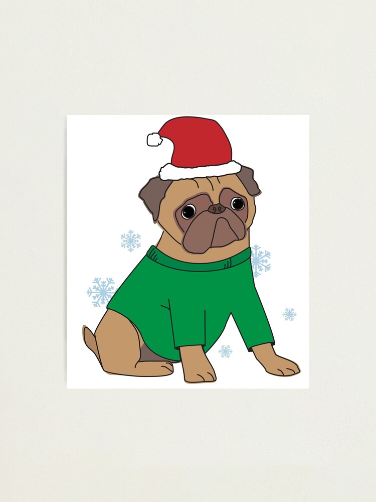 Jumper for shop pug