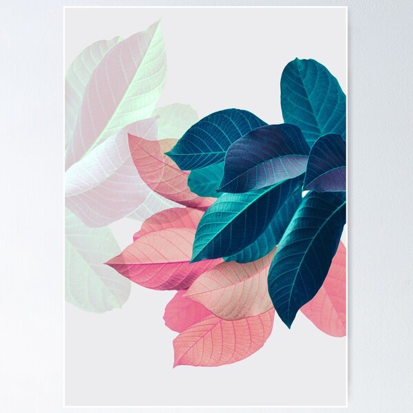 Blue Pink Plant Leaf Poster