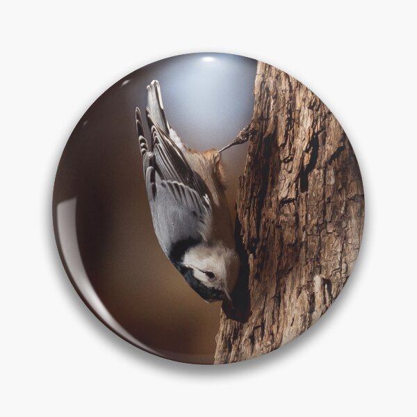 Item preview, Moody picture of White-breasted nuthatch designed and sold by jessicagoodsell.