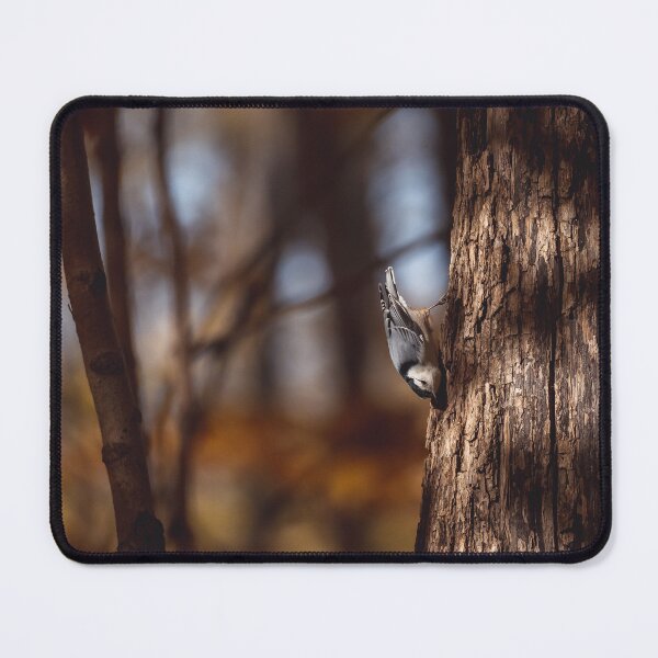 Item preview, Moody picture of White-breasted nuthatch designed and sold by jessicagoodsell.