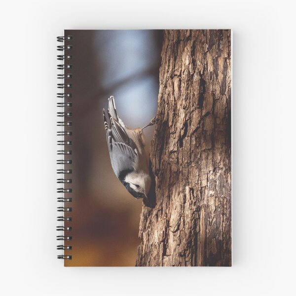 Item preview, Moody picture of White-breasted nuthatch designed and sold by jessicagoodsell.