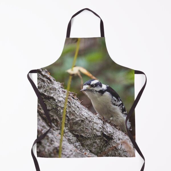 Item preview, Downy woodpecker, in front of a buffet of ants designed and sold by jessicagoodsell.