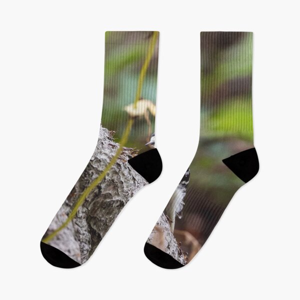 Item preview, Downy woodpecker, in front of a buffet of ants designed and sold by jessicagoodsell.