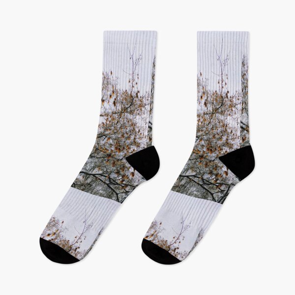 Item preview, Snowy maple tree  designed and sold by Ivy-Bindig.