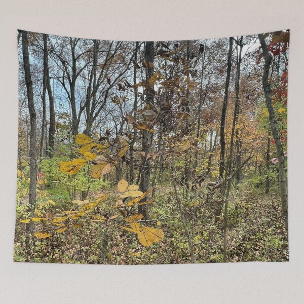 Item preview, Forest Layers designed and sold by Abeink1030.