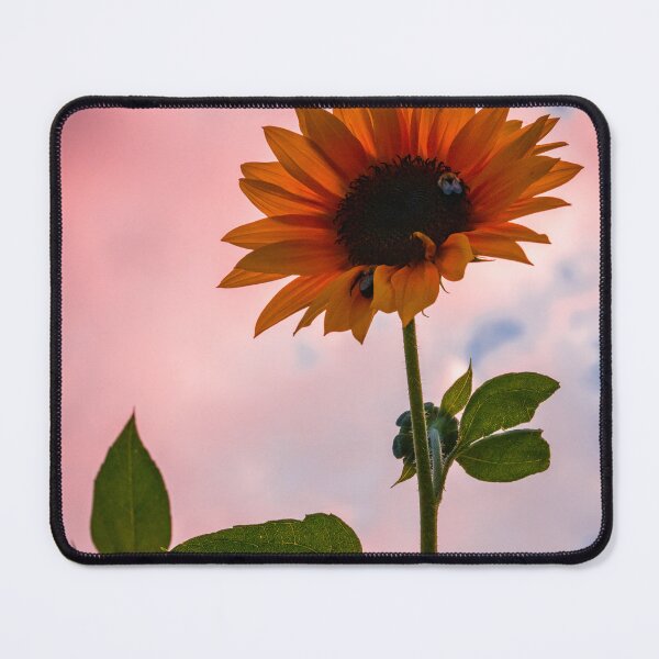 Item preview, Sunflower in Sunset designed and sold by akiobsession.
