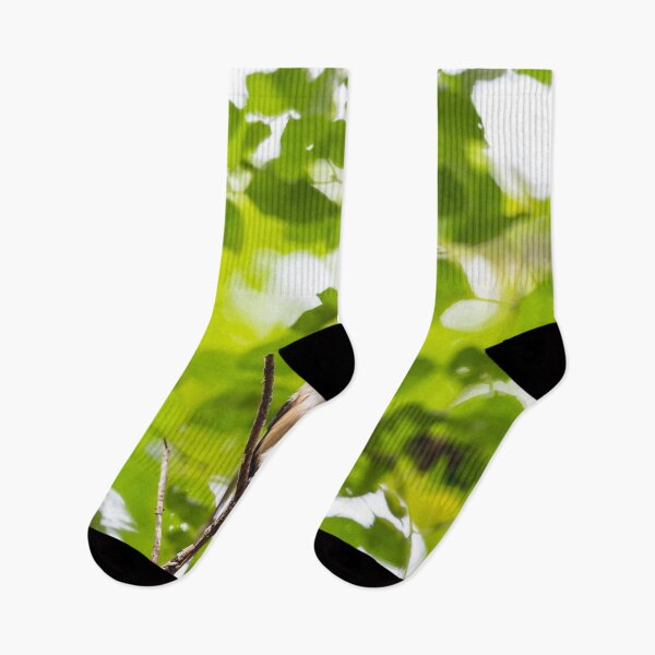 Item preview, Curious Black-capped chickadee in the trees designed and sold by jessicagoodsell.