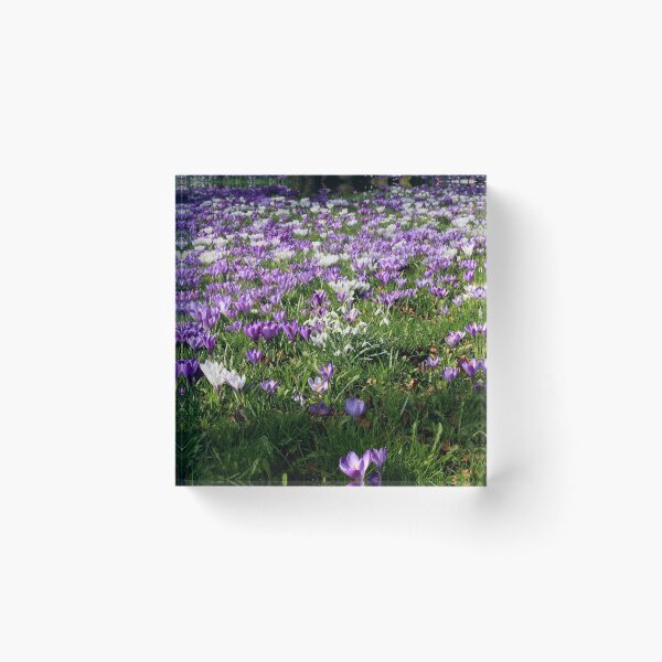 Item preview, FLOWER CARPET designed and sold by andrewsaxton.