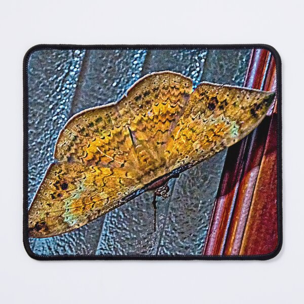 Item preview, Big Brown Butterfly designed and sold by alabca.