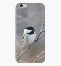 Black Capped Chickadee iPhone Case