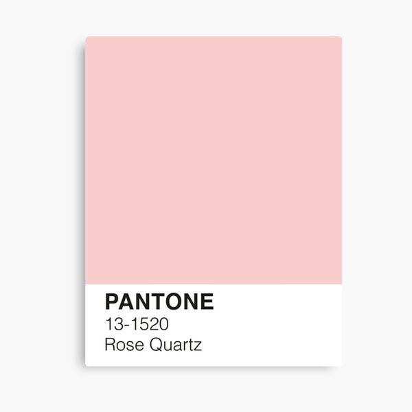 Rose Quartz Pantone Canvas Print