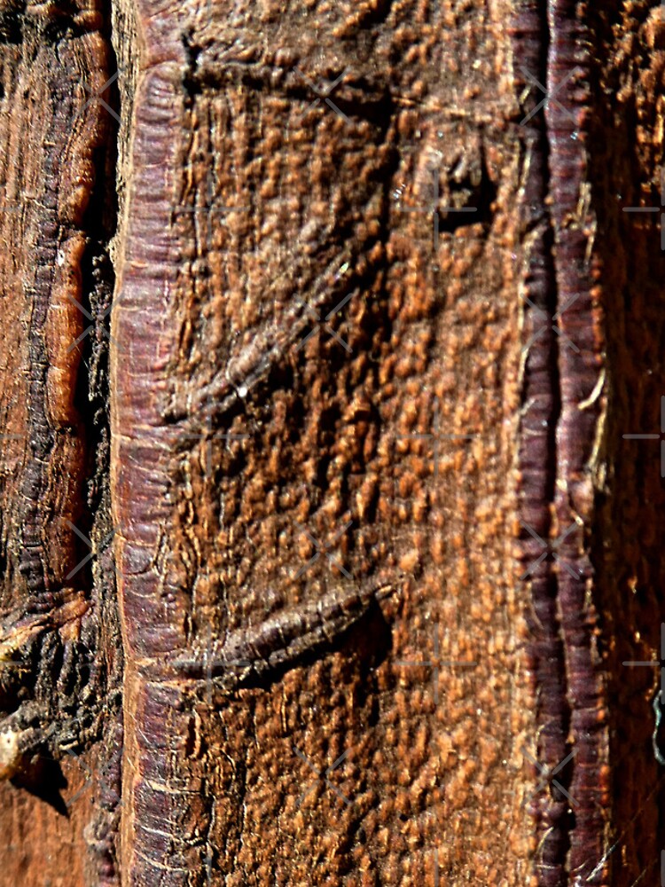 Worn out tree trunk close-up, weathered and torn iPhone Case for