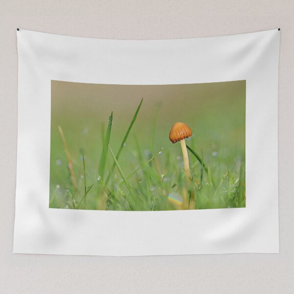 Item preview, Another Dewy Mushroom designed and sold by relayer51.
