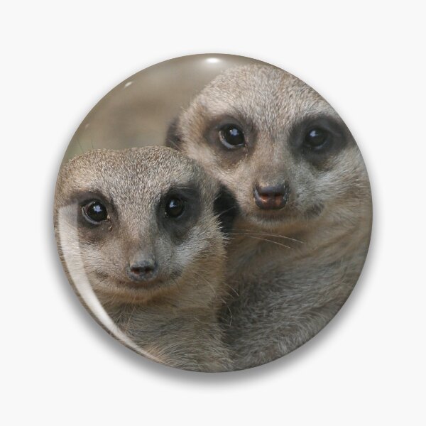 Item preview, Meerkat 033 designed and sold by JAMFoto.