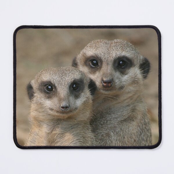 Item preview, Meerkat 033 designed and sold by JAMFoto.