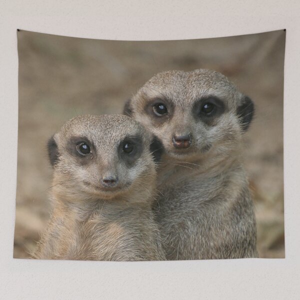 Item preview, Meerkat 033 designed and sold by JAMFoto.