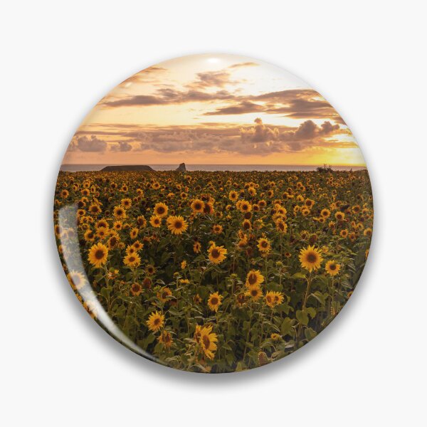 Item preview, Sunflower Field Rhossili, Gower designed and sold by Richard Morgan.