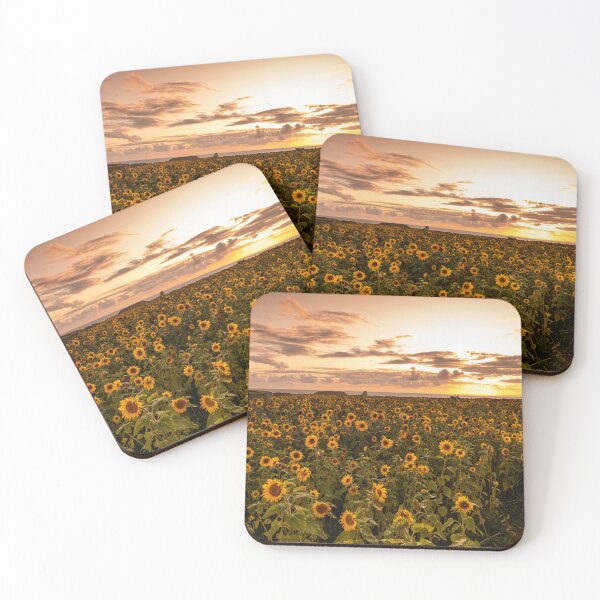 Item preview, Sunflower Field Rhossili, Gower designed and sold by Richard Morgan.