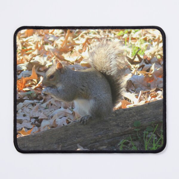 Item preview, Squirrel With Acorn designed and sold by LCRobertsonArt.