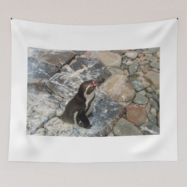 Item preview, Prague Zoo, Troja, Czech Republic designed and sold by Jiri Hofman.