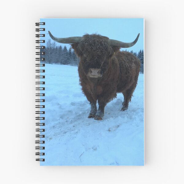 Item preview, Scottish Highland Cattle Bull 1033 designed and sold by SaarelaHighland.
