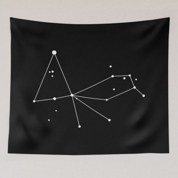 Item preview, Pavo Constellation v1.0 designed and sold by LeoLabs.