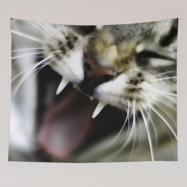 Item preview, Cat, Cats, Animal, Animals, Pet designed and sold by Falko-Follert.