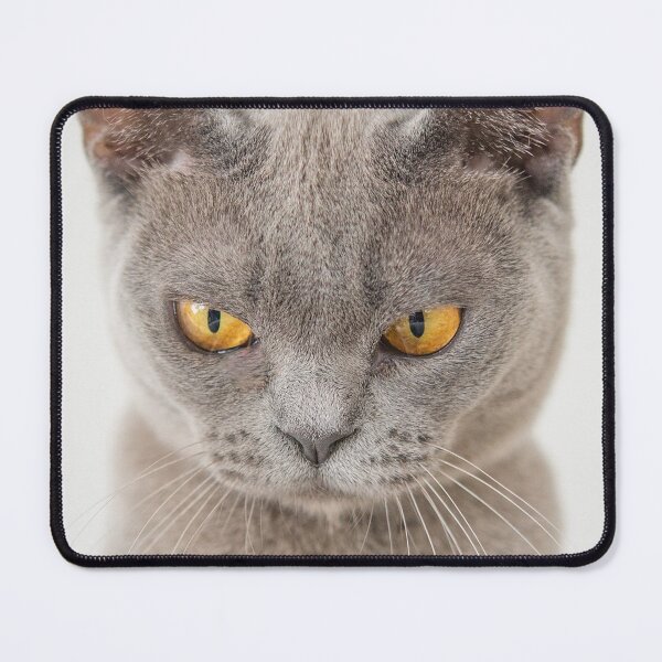 Item preview, So Angry Cat designed and sold by Ali K. Alobaidi.