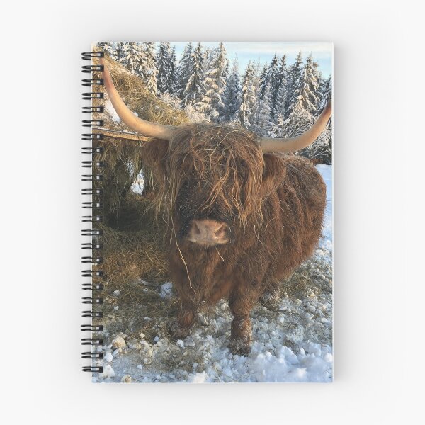 Item preview, Scottish Highland Cattle Cow 1040 designed and sold by SaarelaHighland.