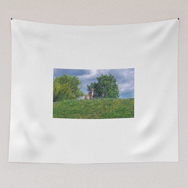 Item preview, Prague Zoo, Troja, Czech Republic designed and sold by Jiri Hofman.