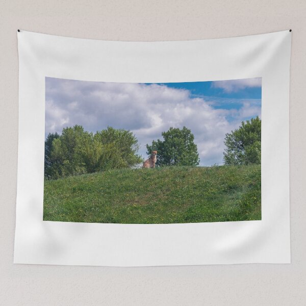 Item preview, Prague Zoo, Troja, Czech Republic designed and sold by Jiri Hofman.