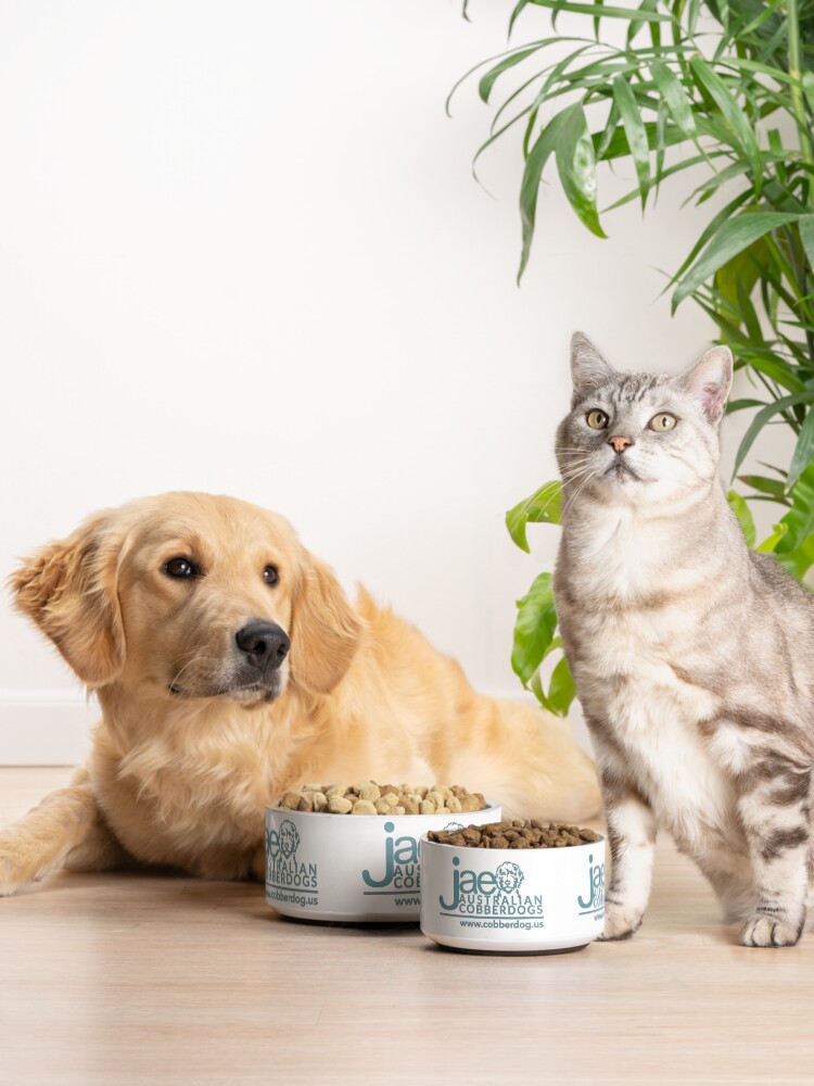 Alternate view of JAE Cobberdogs - Teal Logo Pet Bowl
