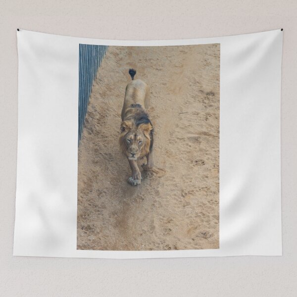 Item preview, Prague Zoo, Troja, Czech Republic designed and sold by Jiri Hofman.