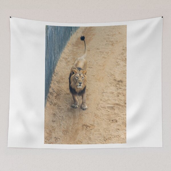 Item preview, Prague Zoo, Troja, Czech Republic designed and sold by Jiri Hofman.