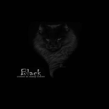 Artwork thumbnail, Black PussyCat / Black by PaulBaidoa