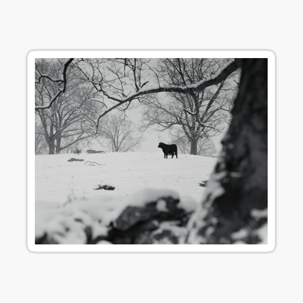 Item preview, A Lone Black Cow Stands In the Snow designed and sold by KeithHPutnam.