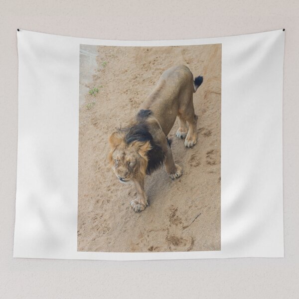 Item preview, Prague Zoo, Troja, Czech Republic designed and sold by Jiri Hofman.