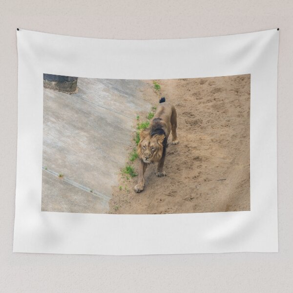 Item preview, Prague Zoo, Troja, Czech Republic designed and sold by Jiri Hofman.