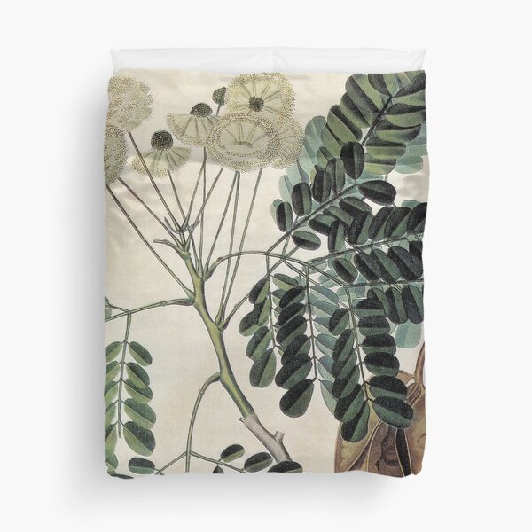 Item preview, acacia vintage botanical print designed and sold by Catherine  Regan.