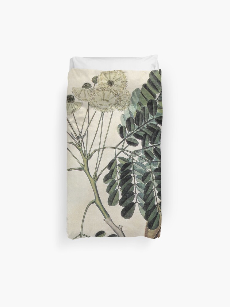 Acacia Vintage Botanical Print Duvet Cover By Cathregan Redbubble