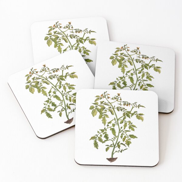 Item preview, Bush Tomato Plant (Solanum lycopersicum)  designed and sold by CherrytreeLeaf.